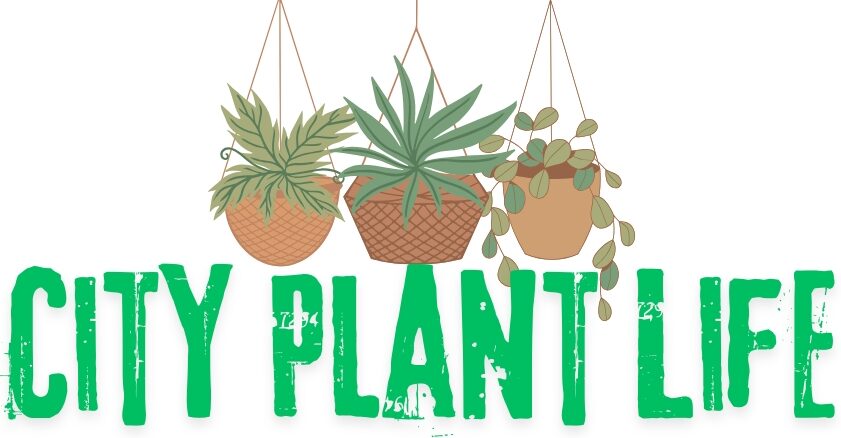 cityplantlife.com
